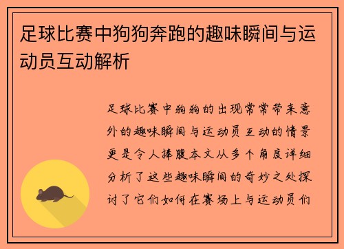 足球比赛中狗狗奔跑的趣味瞬间与运动员互动解析