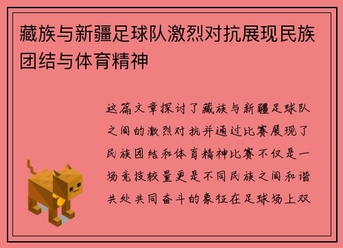藏族与新疆足球队激烈对抗展现民族团结与体育精神