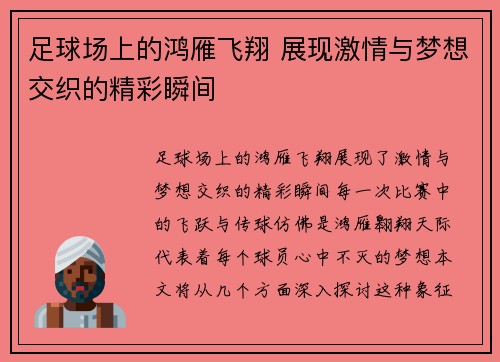 足球场上的鸿雁飞翔 展现激情与梦想交织的精彩瞬间