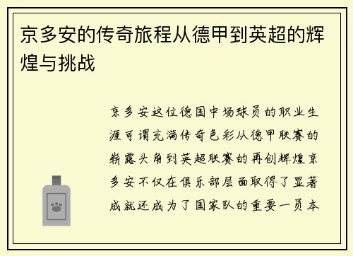 京多安的传奇旅程从德甲到英超的辉煌与挑战