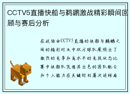 CCTV5直播快船与鹈鹕激战精彩瞬间回顾与赛后分析